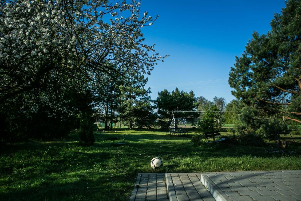 Radawa Family Space Dış mekan fotoğraf